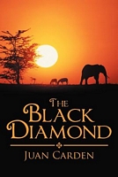 Paperback edition cover