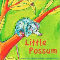 Cover of Little Possum by Catherine Johann
