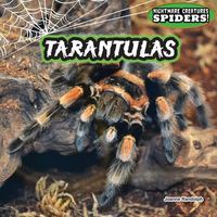 Hardcover edition cover