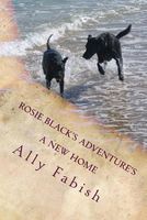 Ally Fabish's Latest Book