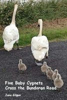 Five Baby Cygnets Cross the Bundoran Road