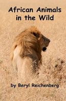 African Animals in the Wild