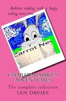 Large Print edition cover