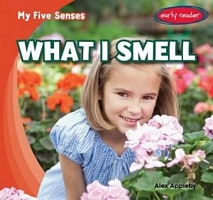 What I Smell