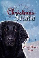 Christmas Storm