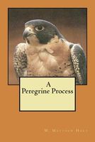 A Peregrine Process