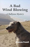 Paperback edition cover