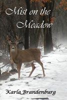 Mist on the Meadow