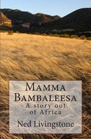 Paperback edition cover