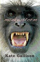 Monkeystorm