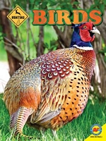 Cover of Birds by Pamela McDowell