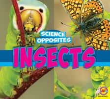 Cover of Insects by Pamela McDowell