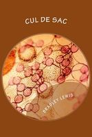 Cover of Cul de Sac by Bradley Lewis