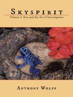 Cover of Skyspirit by Anthony Wolff