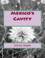 Hafsa Sabri's Latest Book