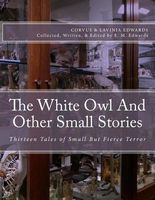 The White Owl and Other Small Stories
