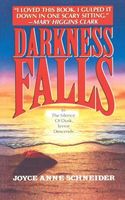 Cover of Darkness Falls by Joyce Anne Schneider