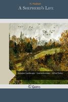 Paperback edition cover