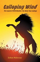Cover of Galloping Wind by Zoltan Malocsay