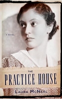 Laura McNeal's Latest Book