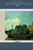 Paperback edition cover