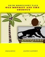 Paperback edition cover