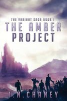 The Amber Project