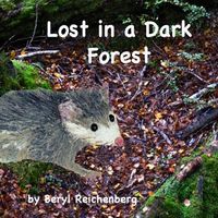 Lost in a Dark Forest