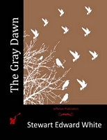 Paperback edition cover
