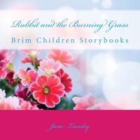 Cover of Rabbit and the Burning Grass by Jane Olamide Olubunm Landey