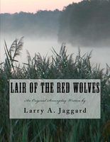 Paperback edition cover