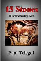 Cover of 15 Stones by Paul Telegdi