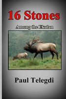 Cover of 16 Stones by Paul Telegdi