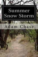 Cover of Summer Snow Storm by Adam Chase