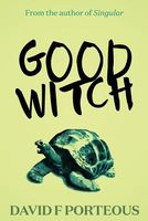 Cover of Good Witch by David F. Porteous