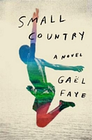 Gael Faye's Latest Book