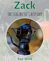 Zack: The Stag Beetle's Busy Day