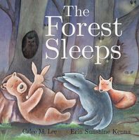 eBook edition cover