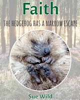 Faith: The Hedgehog Has a Narrow Escape