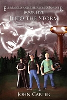 Cover of Into the Storm by John Carter