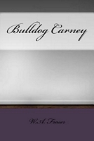 Paperback edition cover