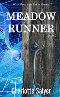Cover of Meadow Runner by Charlotte Salyer