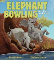 Richard Haynes's Latest Book