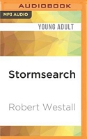 Stormsearch