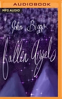 Cover of Fallen Angels by John Biggs