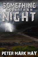 Cover of Something More Than Night by Peter Mark May