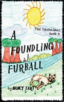 Paperback edition cover