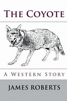 Paperback edition cover