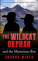 Cover of The Wildcat Orphan and the Mysterious Box by Sharon Miner