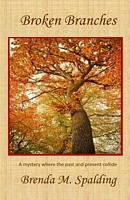 Paperback edition cover